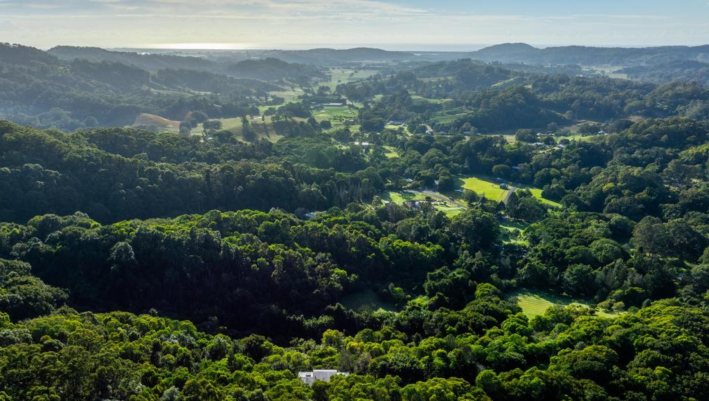 590 Clothiers Creek Rd, Clothiers Creek, NSW 2484