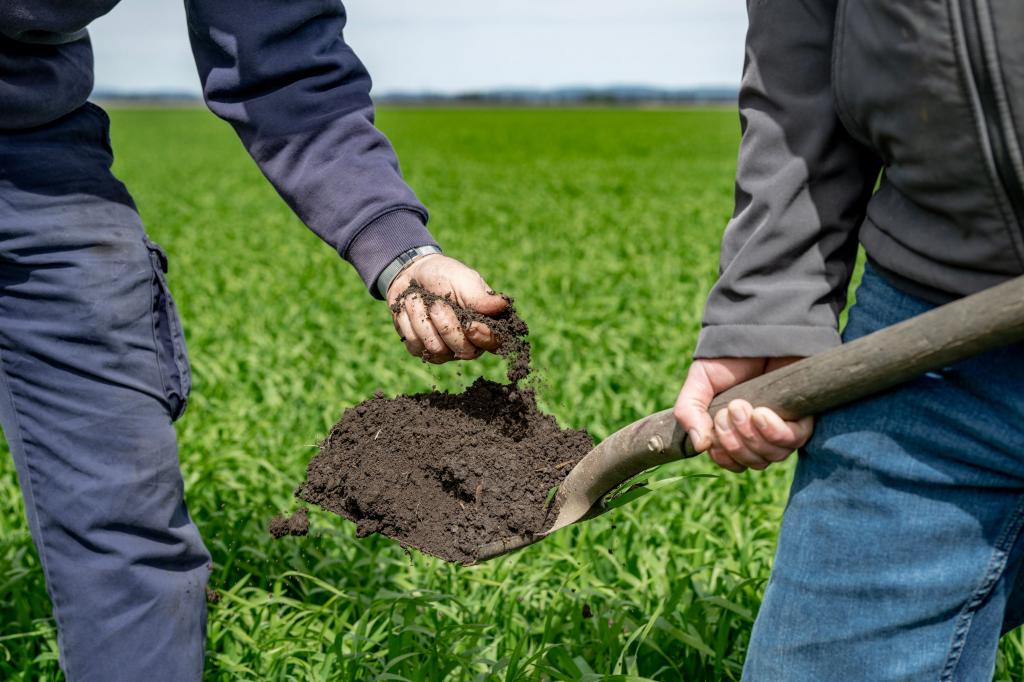 16 Stirling Rd, North Branch, QLD 4356