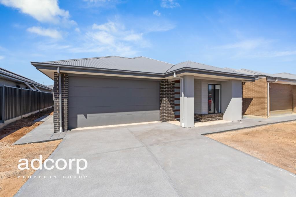 17 Esquire Cct, Roseworthy, SA 5371