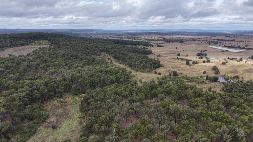 Lot 113 Weir Rd, Glenleigh, QLD 4630