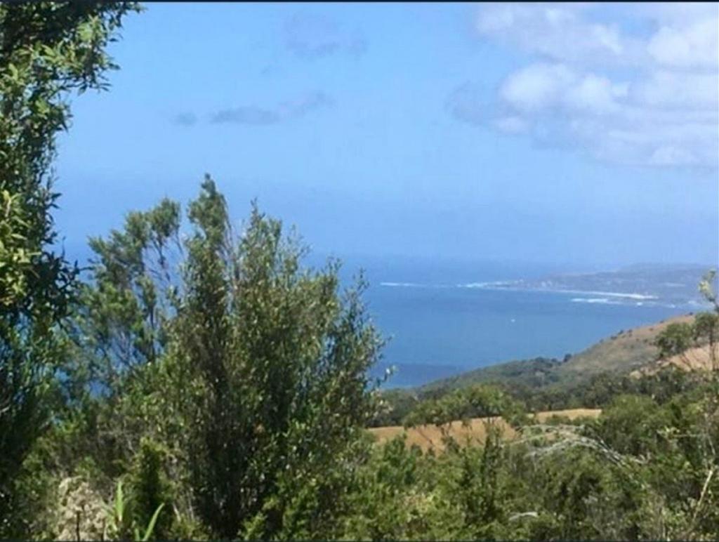 340 Sunnyside Rd, Wongarra, VIC 3234