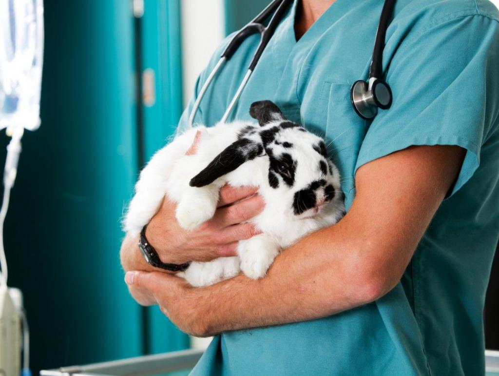 Contact Agent For Address, Wangaratta, VIC 3677