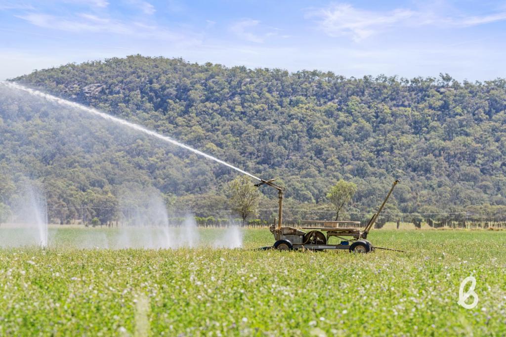 562 YARRAWA RD, YARRAWA, NSW 2328