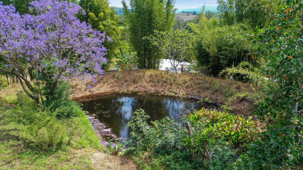 1158 Pinchin Rd, The Channon, NSW 2480