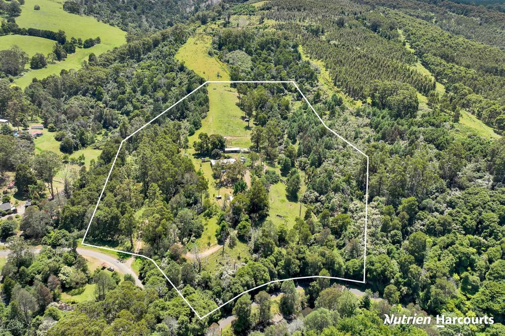 1704 Tarra Valley Rd, Tarra Valley, VIC 3971