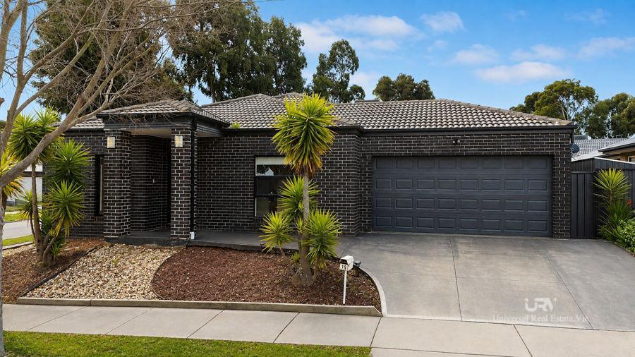 19 Watergum Ave, Craigieburn, VIC 3064
