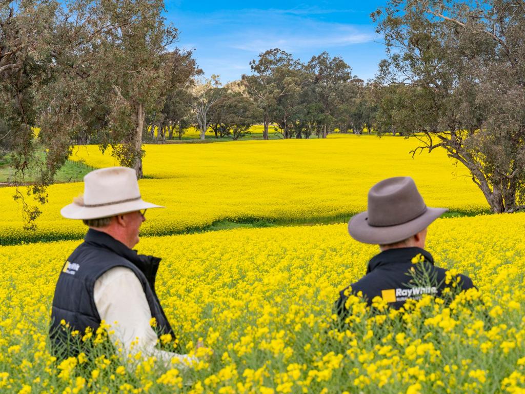 2056 Benalla-Yarrawona Rd, Bungeet West, VIC 3726