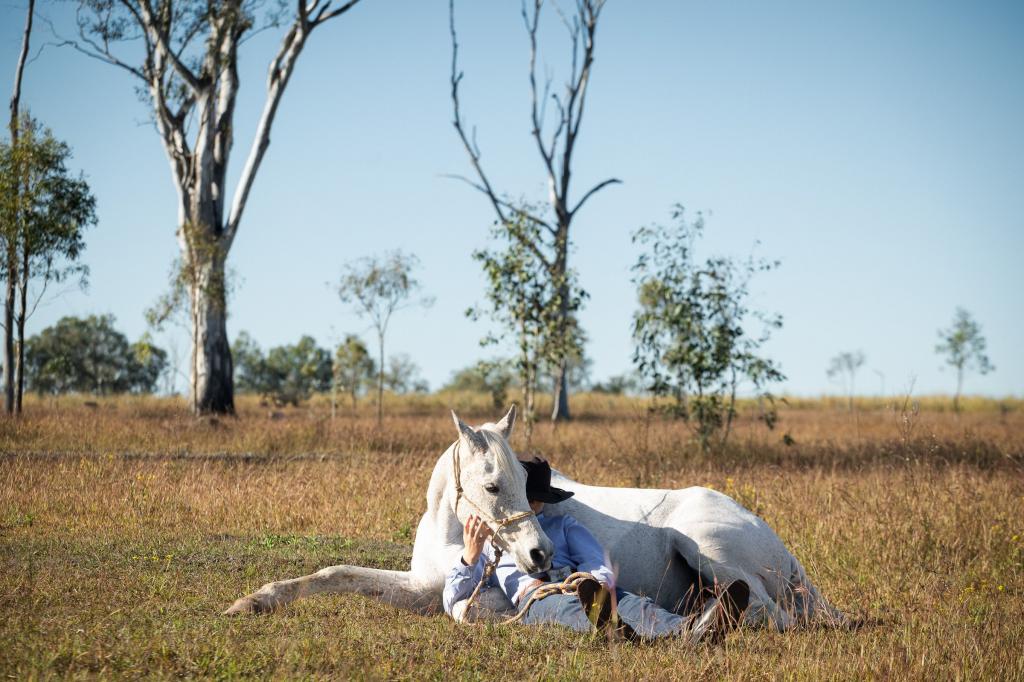 4236 CUNNINGHAM HWY, MUTDAPILLY, QLD 4307