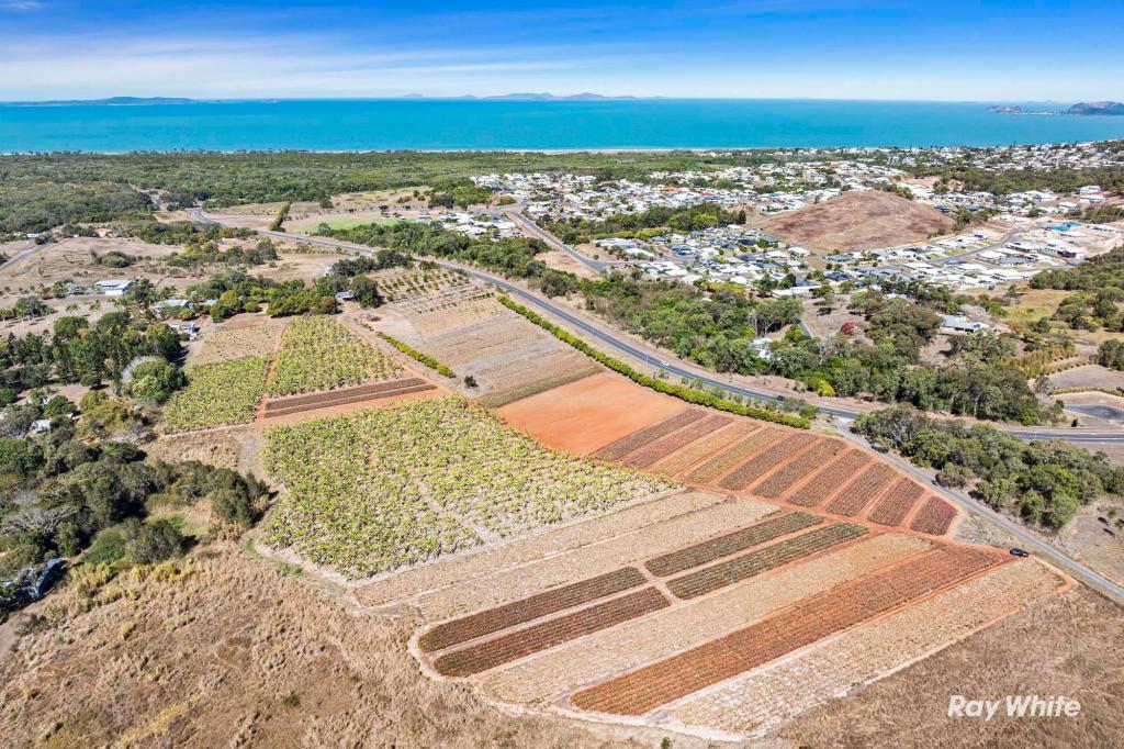 62 Panorama Dr, Pacific Heights, QLD 4703