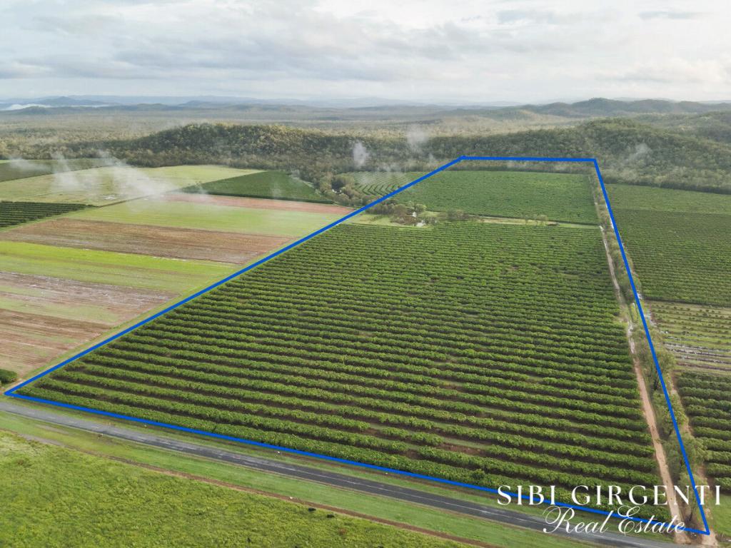 Lot 263/71 Gilmore Rd, Mareeba, QLD 4880