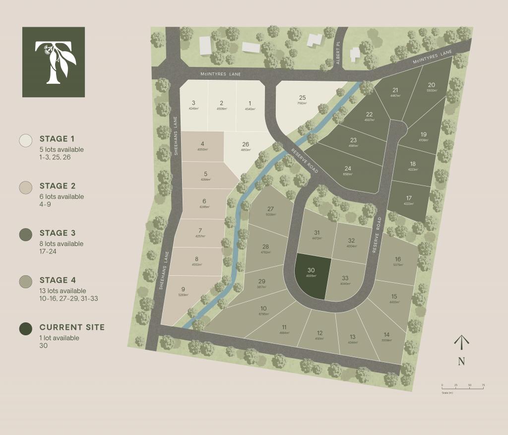 Tallowwood Gra, Gulmarrad, NSW 2463
