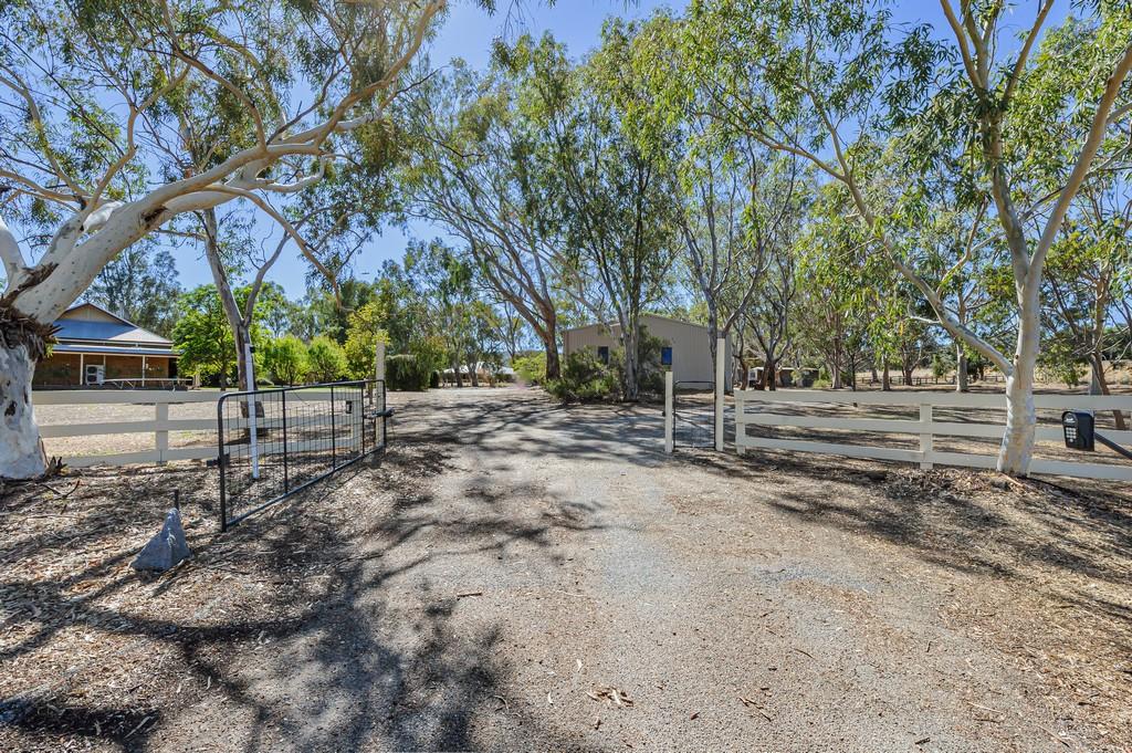 11 Camargue Dr, Brigadoon, WA 6069