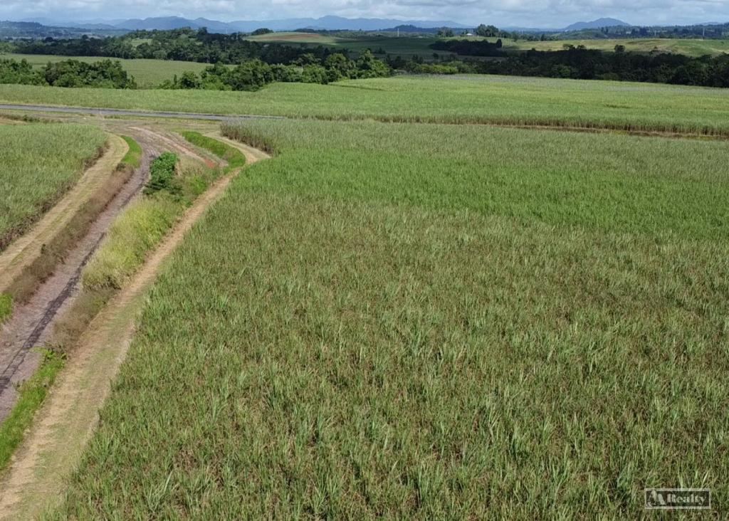 Contact Agent For Address, Daradgee, QLD 4860