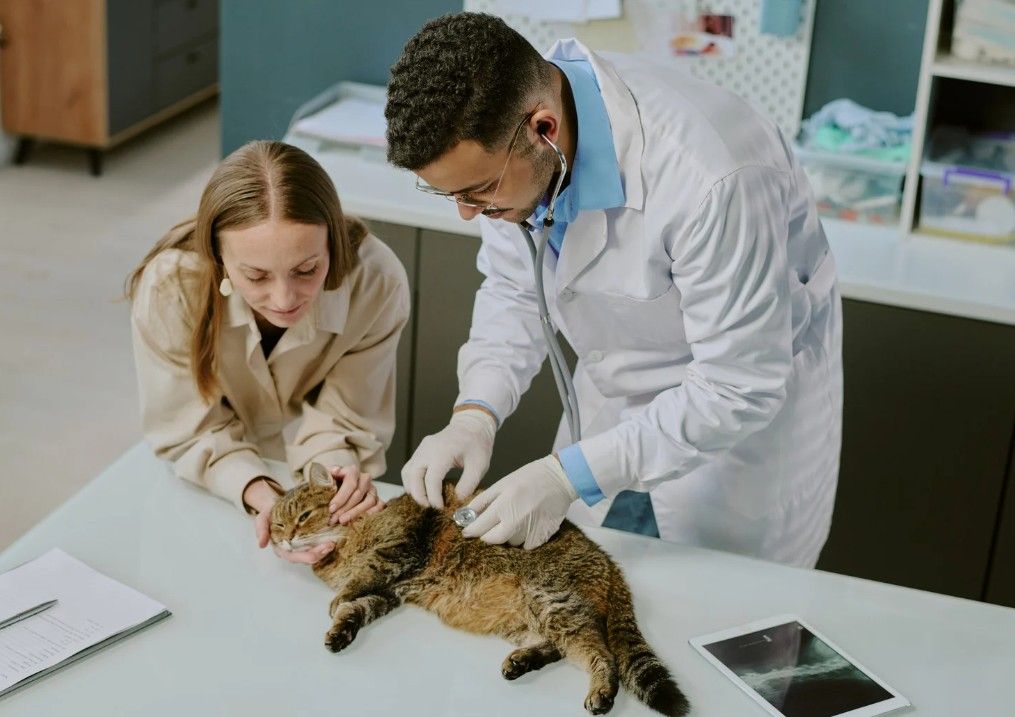 Contact Agent For Address, Woolgoolga, NSW 2456