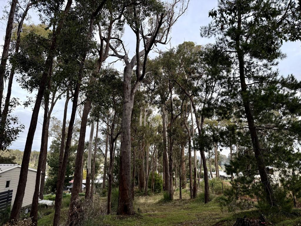 62 Victoria Pde, Donnybrook, WA 6239