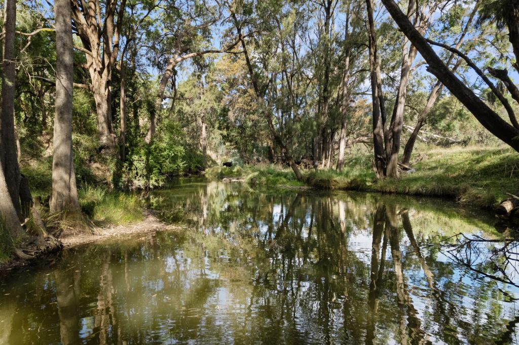 576 LUE RD, HAVILAH, NSW 2850