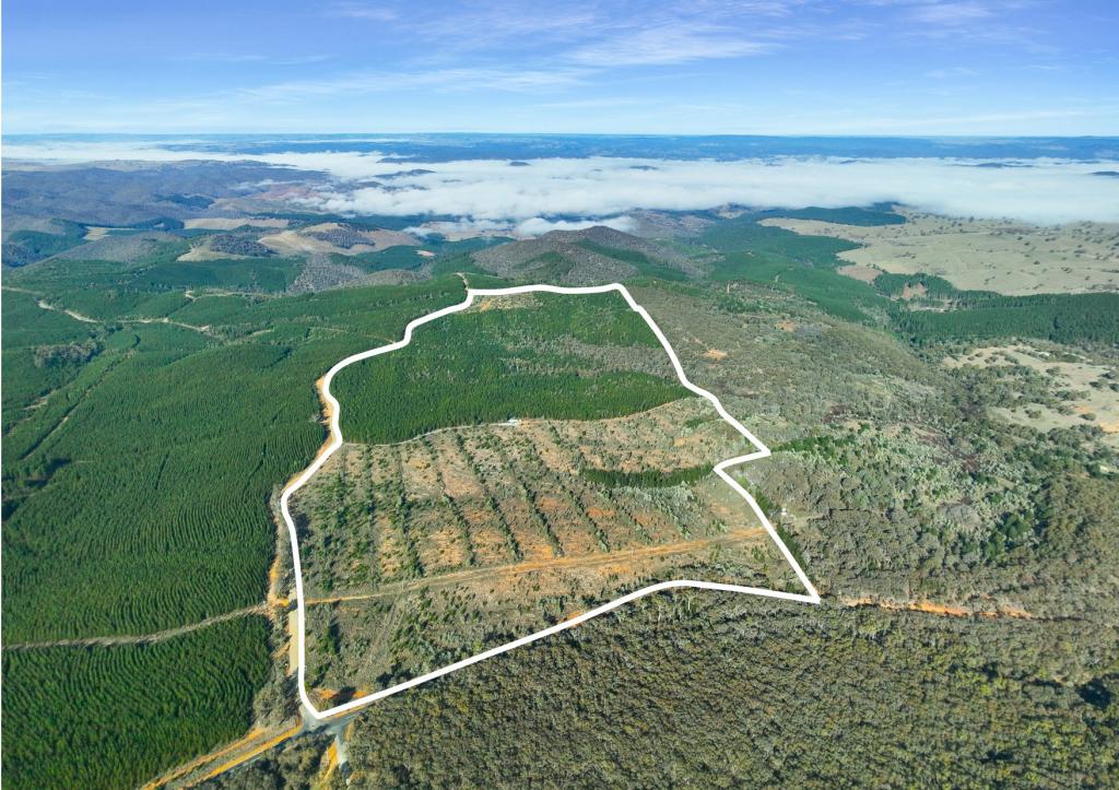 3653 Arkstone Rd, Burraga, NSW 2795