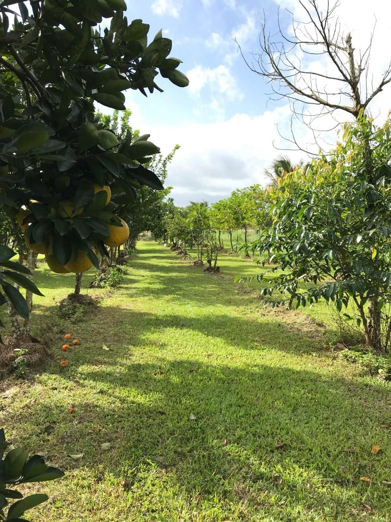 50 Moresby Rd, Moresby, QLD 4871