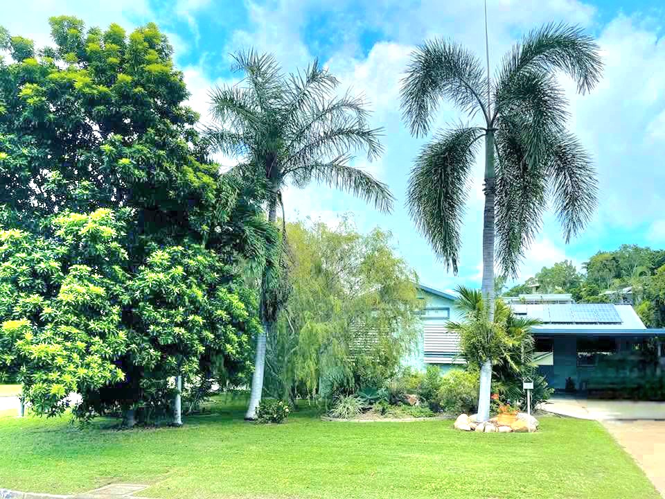 61 Rundle St, Mount Louisa, QLD 4814