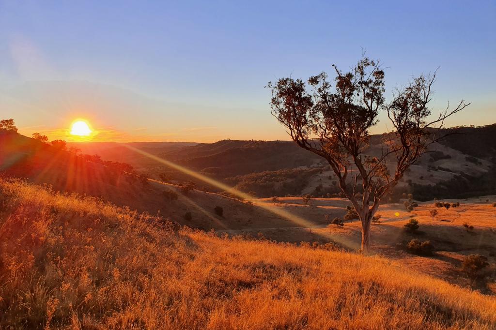 210 Burns Road, Ullamalla, Mudgee, NSW 2850