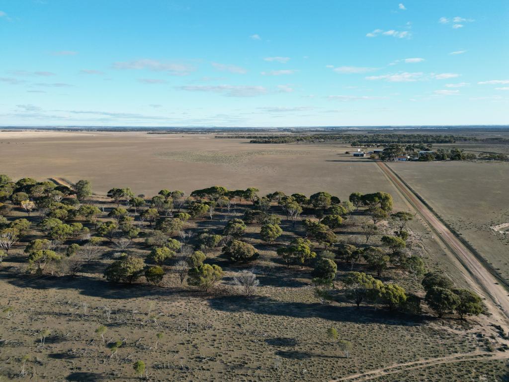 1199 Range Rd, Pingrup, WA 6343