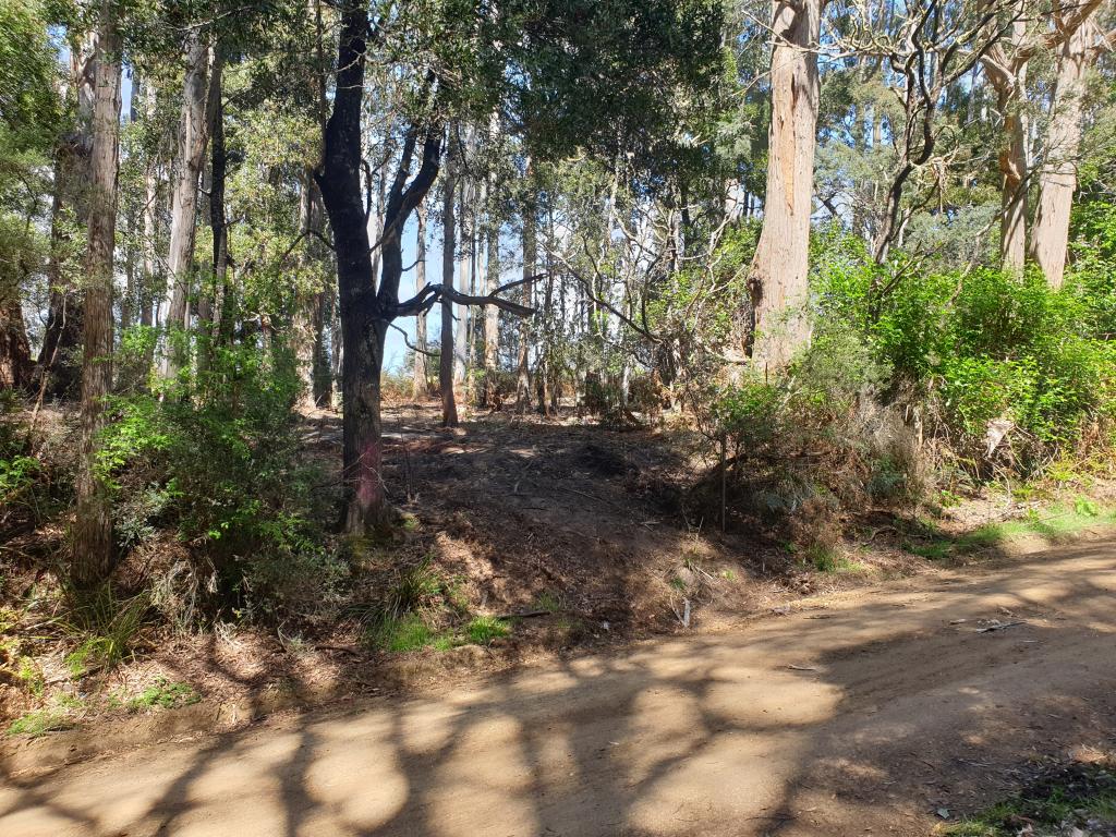 33 Holmes Rd, Ellendale, TAS 7140