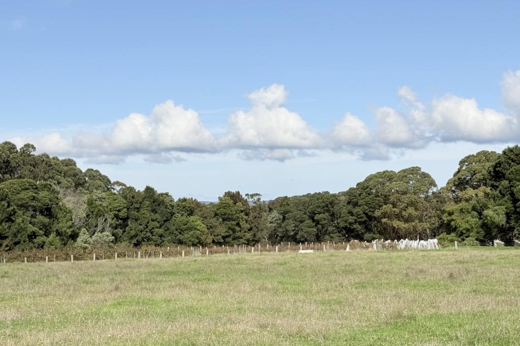 Lot 102/238 Link Rd, Marbelup, WA 6330