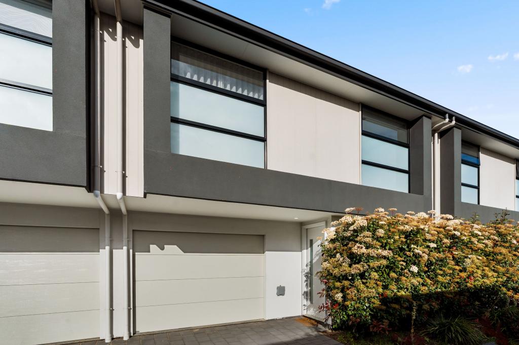 14b Galway Ave, North Plympton, SA 5037