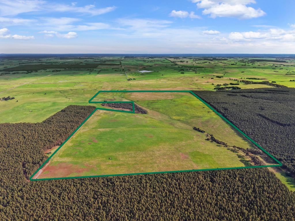 207 Hardys Rd, Condah Swamp, VIC 3286