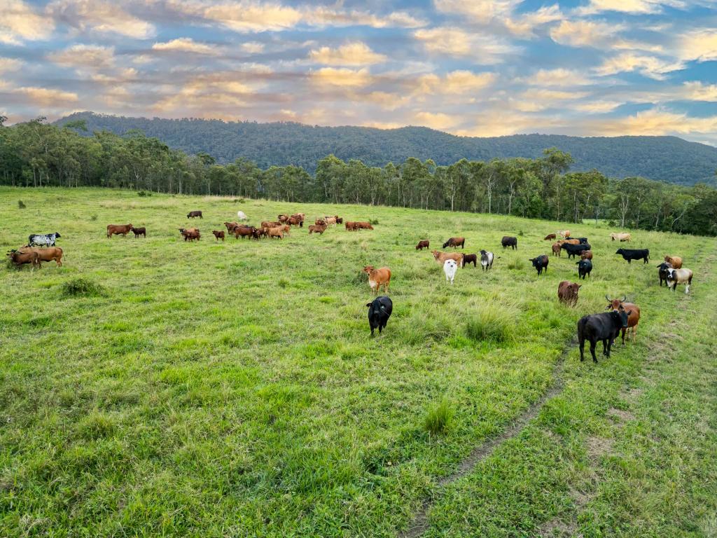 Lots 52 & 64/24 Petersen Rd, Koumala, QLD 4738