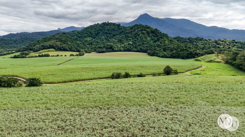 Lot 3 Bruce Hwy, Mirriwinni, QLD 4871