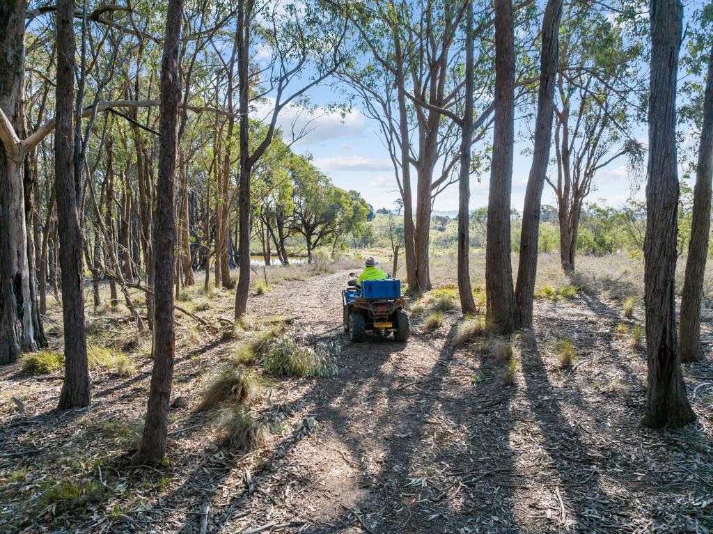 "Sheldricks Range" Sheldricks Lane, Jerrawa, NSW 2582