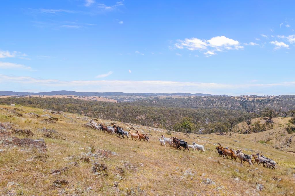 1884 Lower Lewis Ponds Rd, Ophir, NSW 2800