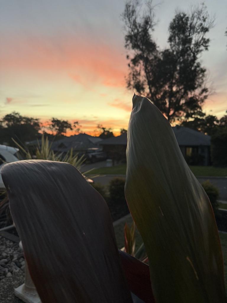 26 Cedarton Cres, Ormeau, QLD 4208