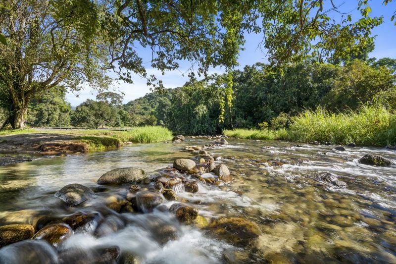 120 Harvey Creek Rd, Bellenden Ker, QLD 4871