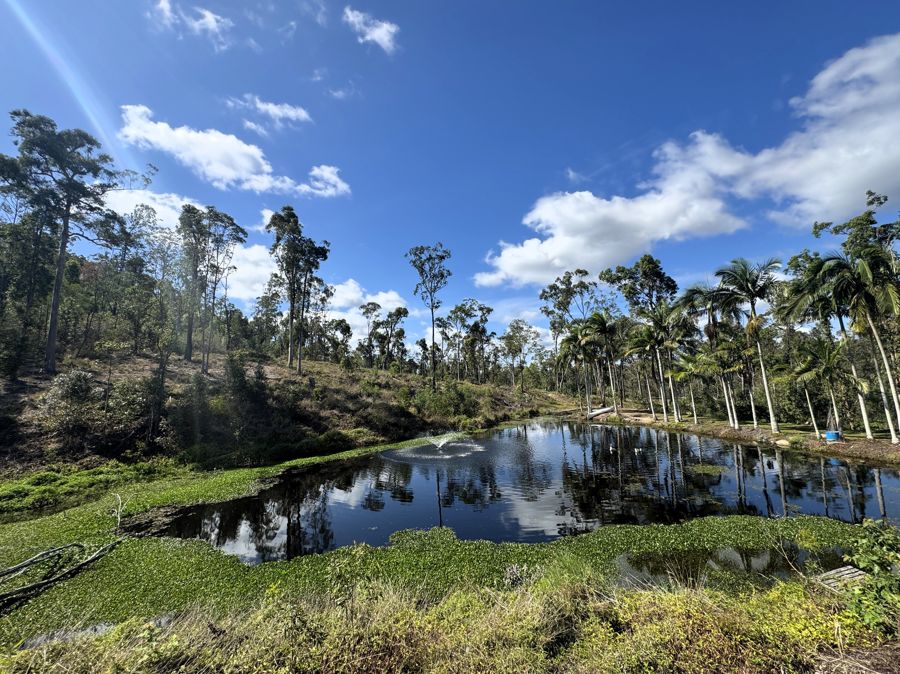 71 Kriedeman Rd, Upper Coomera, QLD 4209