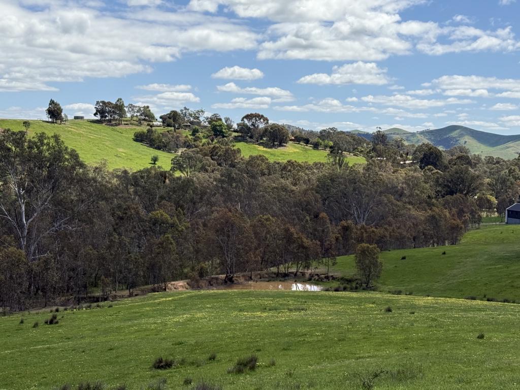 85 Halls Flat Rd, Alexandra, VIC 3714