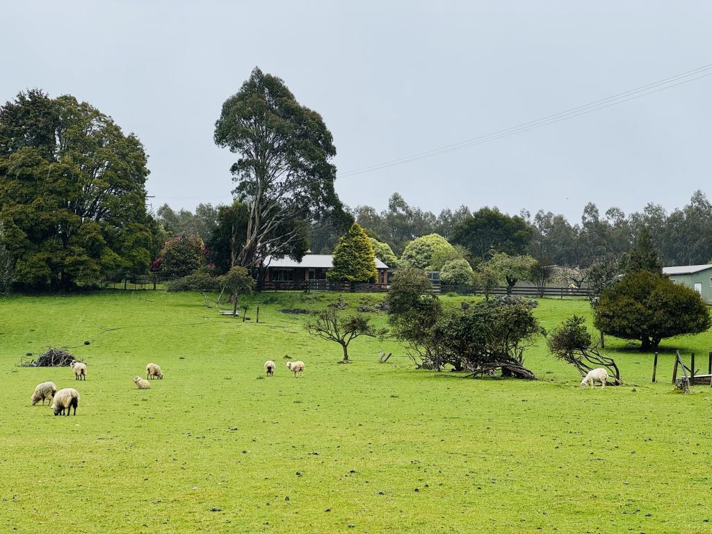 1660 Takone Rd, West Takone, TAS 7325