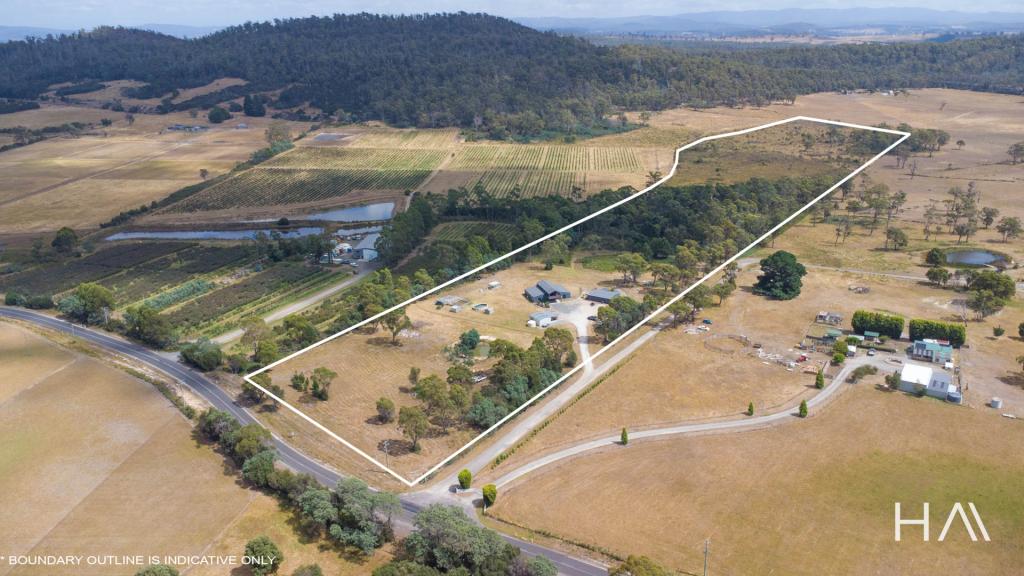 445 Dalrymple Rd, Mount Direction, TAS 7252