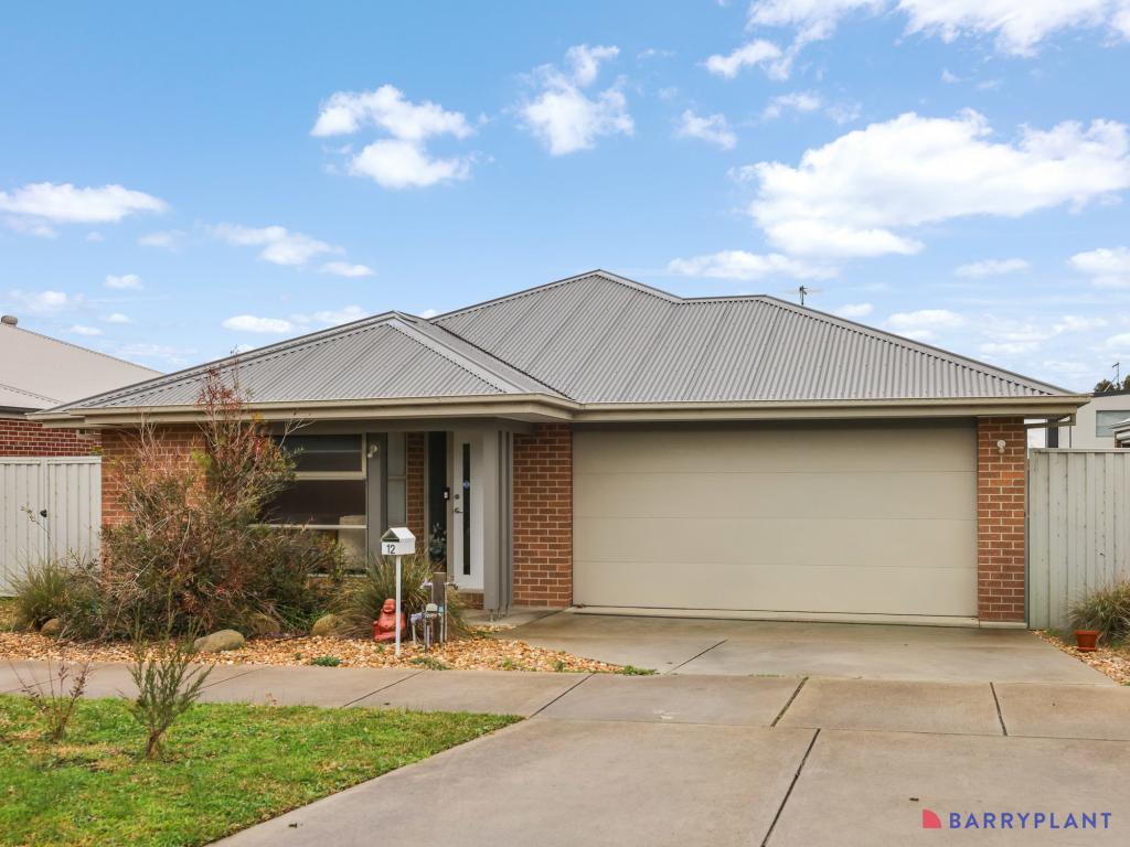 12 Atlantis St, Cowes, VIC 3922