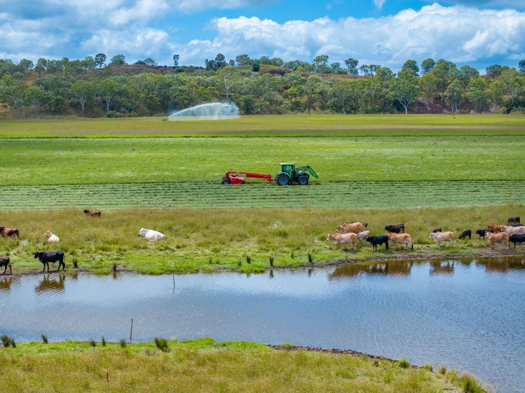 254 Steinhardts Rd, Moffatdale, QLD 4605