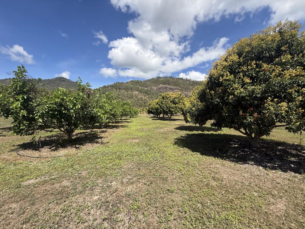 Contact agent for address, MURRAY UPPER, QLD 4854