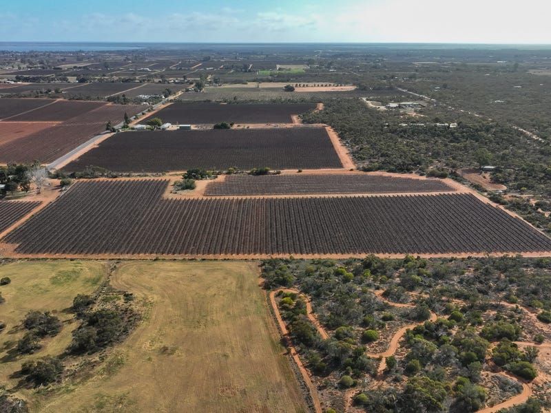 Section 862 Swinstead Rd, Loveday, SA 5345