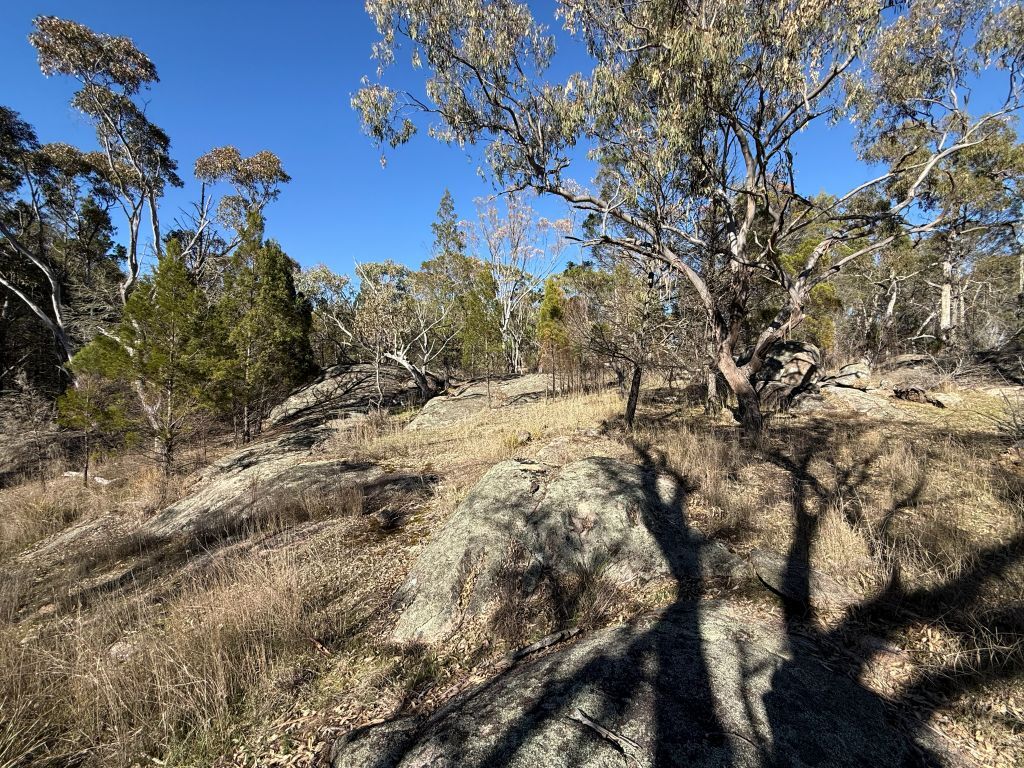 Lot 444 Elks Lane, Broadwater, QLD 4380