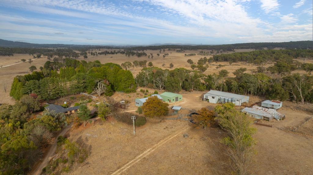 "Fern Hill" 526 Toms Gully Rd, Black Mountain, NSW 2365