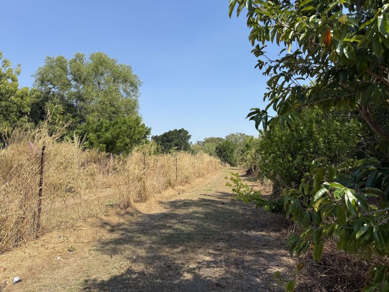 61 Jefferis Rd, Humpty Doo, NT 0836