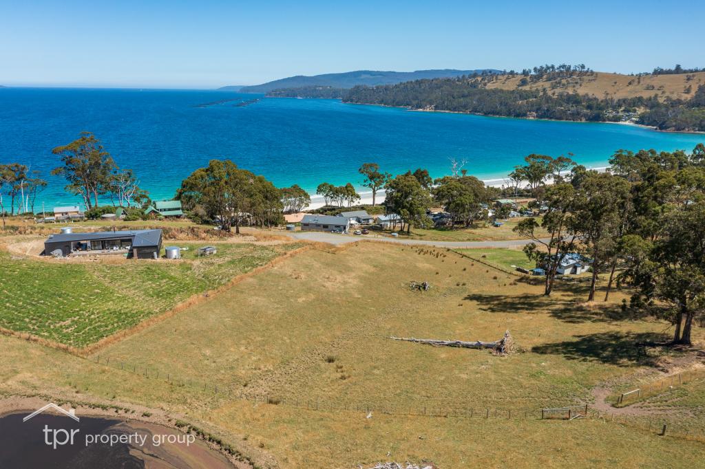 69 Dunn Dr, Surveyors Bay, TAS 7116