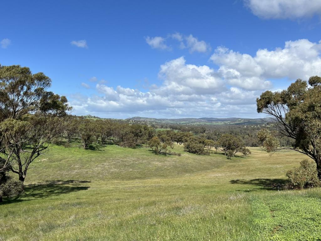 39 Dumbarton Rd, Dumbarton, WA 6566