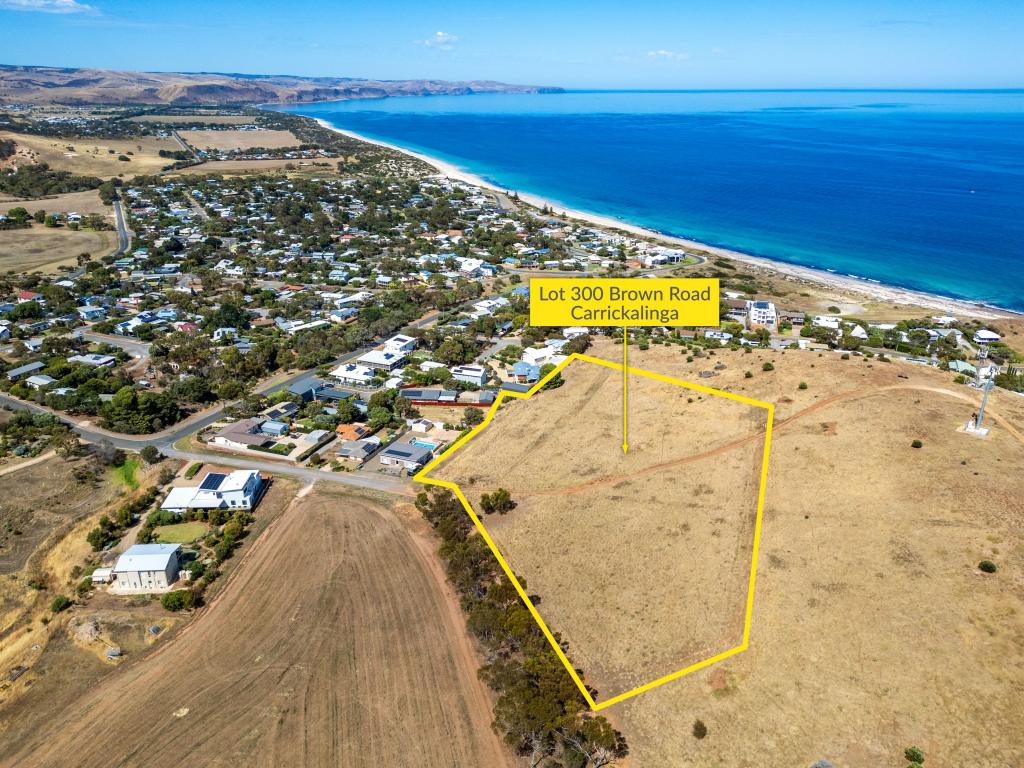 LOT300 BROWN RD, CARRICKALINGA, SA 5204