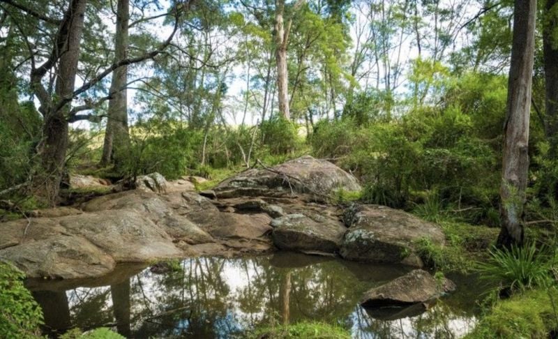 874 Cobargo Bermagui Rd, Coolagolite, NSW 2550